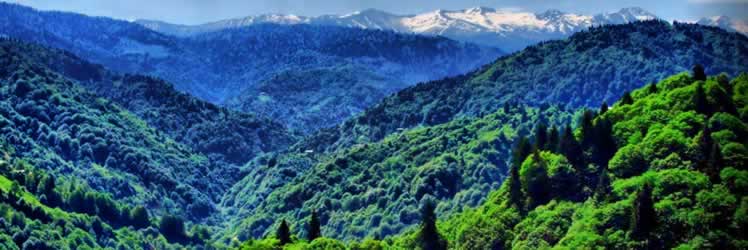 Artvin Bal Çeşitleri TURSAB tarafından tanıtılacak