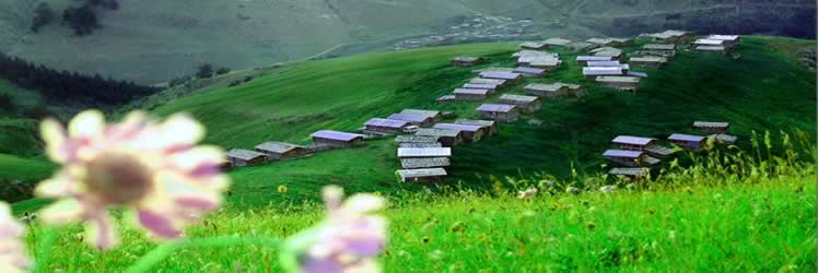 Artvin'de doğa hırsızları tekrar ortaya çıktı.